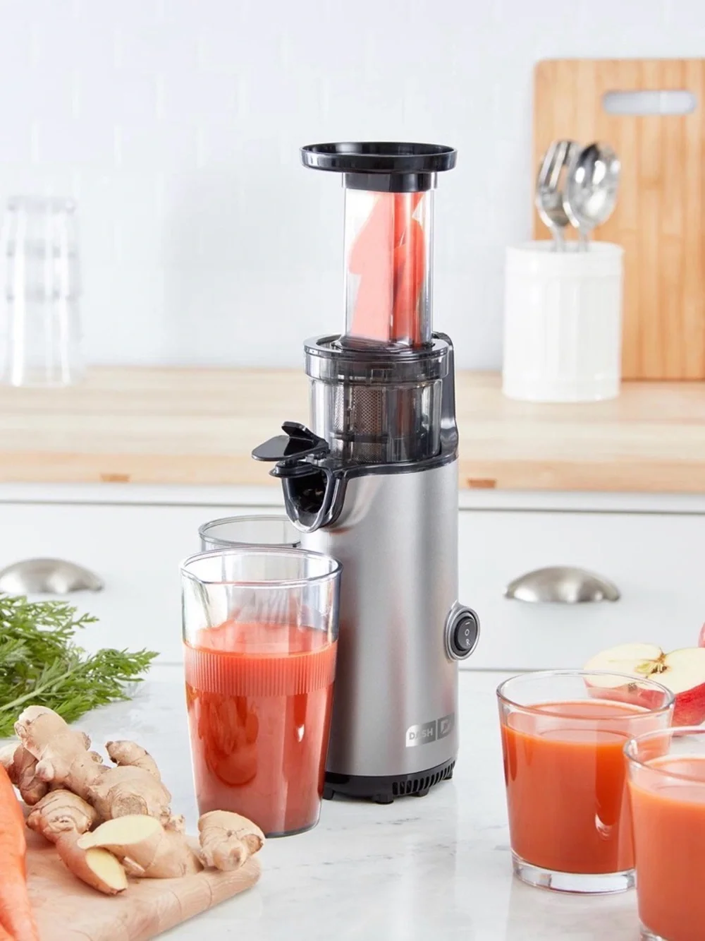 Compact Cold Press Power Juicer